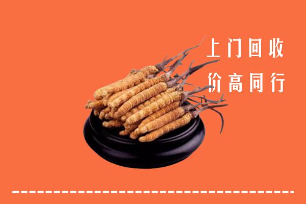 高价求购：黄冈回收散虫草