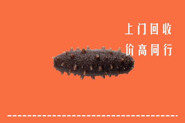 黄冈回收海参