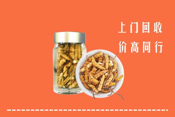 黄冈回收冬虫夏草
